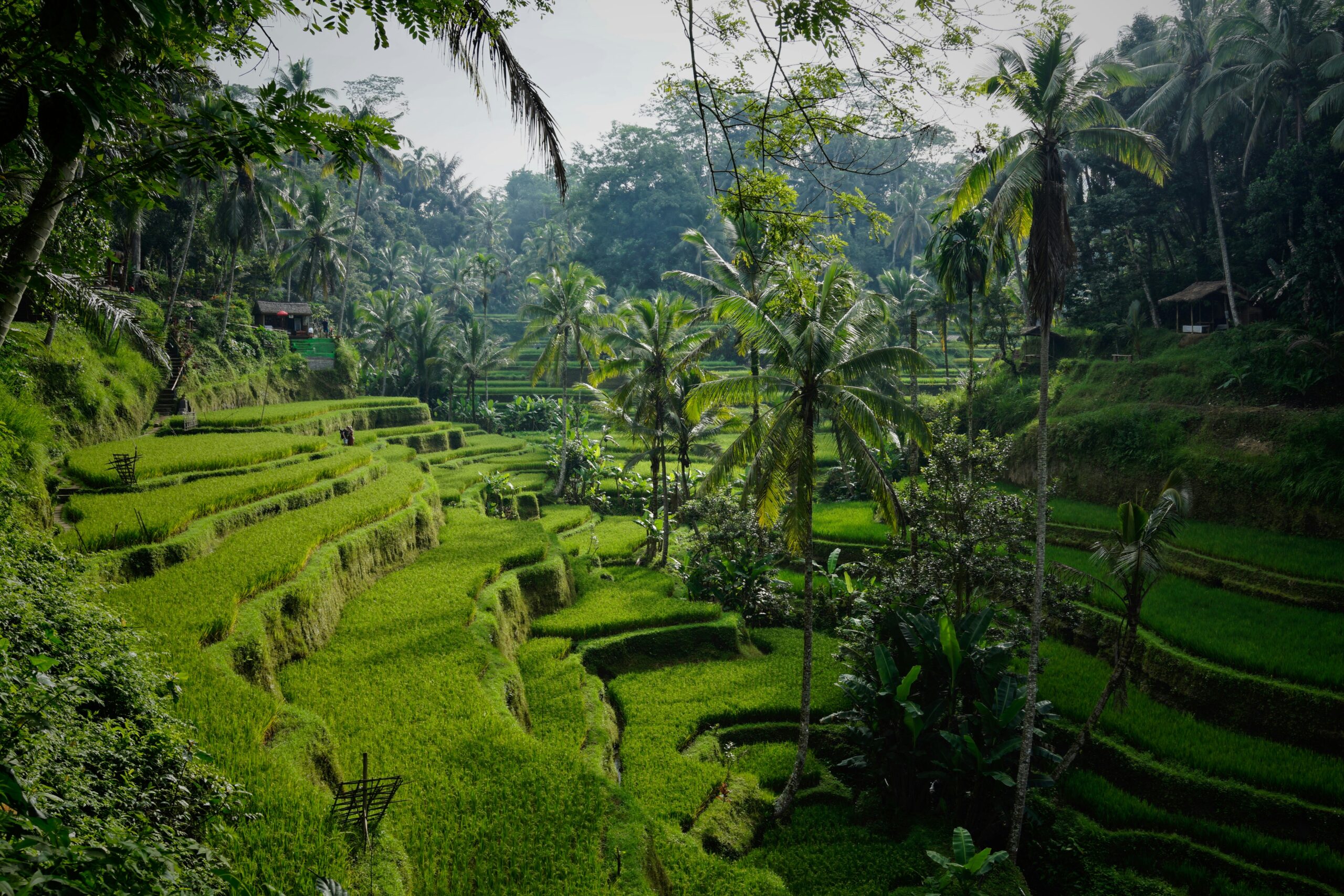 Desa Wisata Penglipuran
