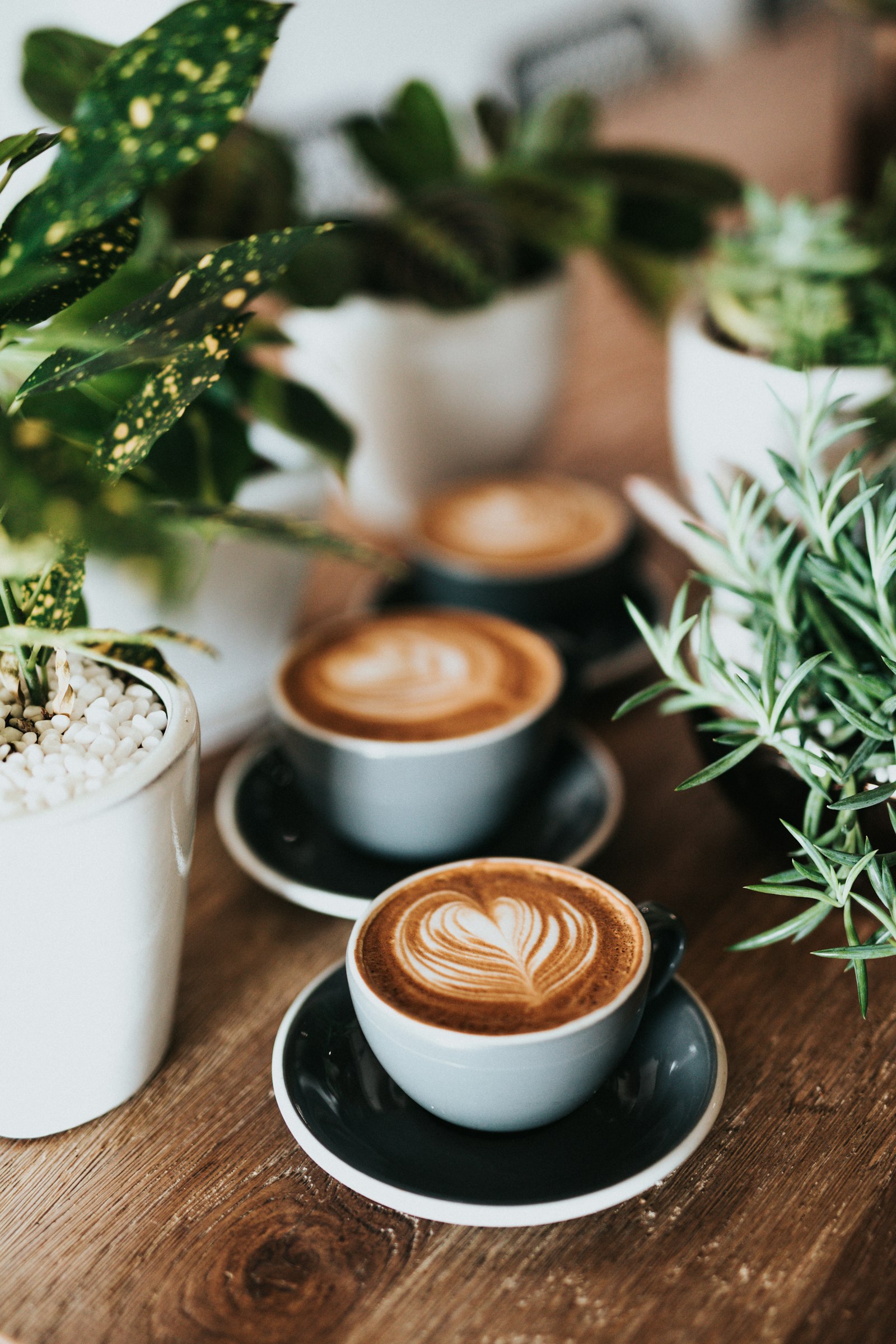 Sisi Sungai Coffee